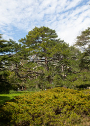 Similar image 21779348