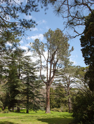 Similar image 21779349