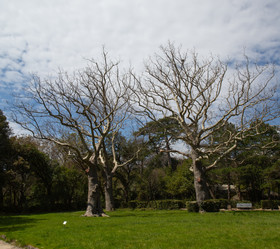 Similar image 21779351