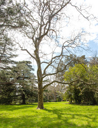 Similar image 21779352