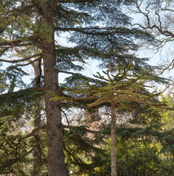 Similar image 21779353