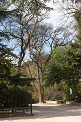 Similar image 21779354