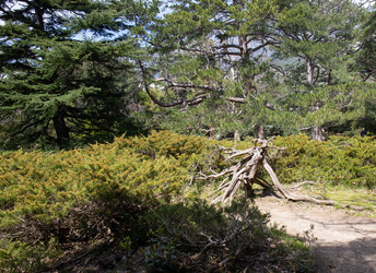 Similar image 21779355