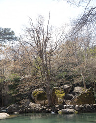 Similar image 21779356