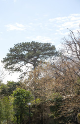 Similar image 21779357