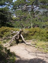 Similar image 21779358