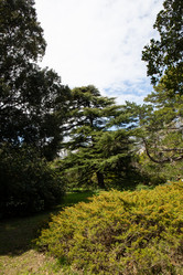 Similar image 21779360