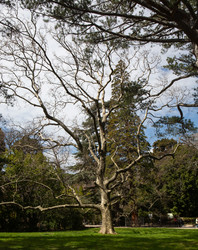 Similar image 21779362