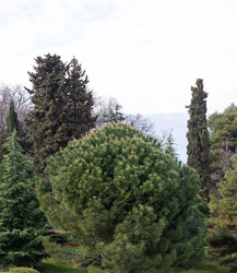 Similar image 21779364