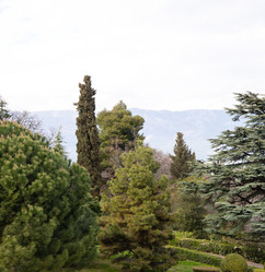 Similar image 21779365