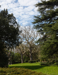 Similar image 21779366