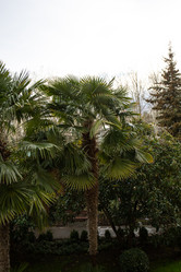 Similar image 21779367