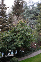 Similar image 21779368