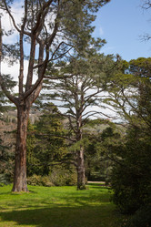 Similar image 21779369