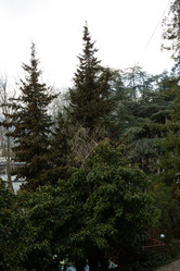 Similar image 21779370