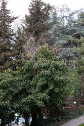 Similar image 21779371