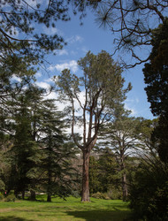 Similar image 21779372