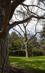 Similar image 21779373