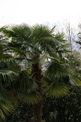 Similar image 21779374