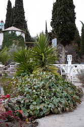 Similar image 21779375