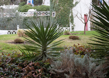 Similar image 21779377