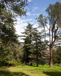 Similar image 21779378