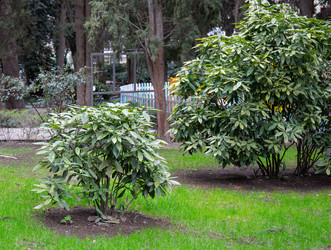 Similar image 21779380