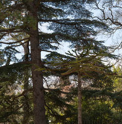 Similar image 21779381