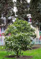 Similar image 21779382