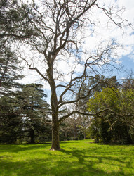 Similar image 21779452