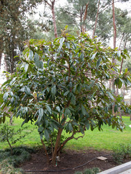 Similar image 21779453