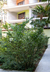 Similar image 21779140