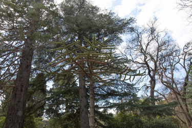 Similar image 21779142