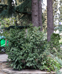 Similar image 21779143