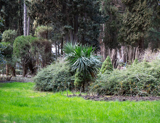 Similar image 21779144