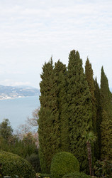 Similar image 21779145