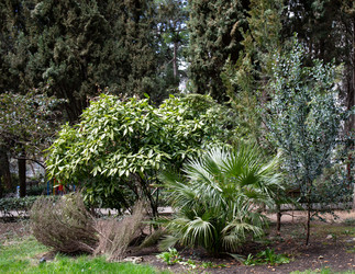 Similar image 21779146