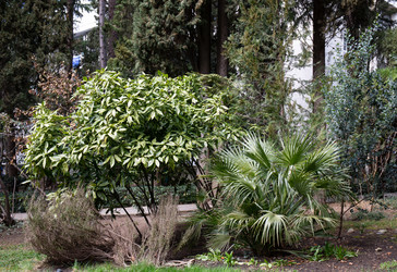 Similar image 21779147