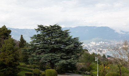 Similar image 21779148