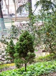 Similar image 21779150