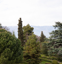 Similar image 21779151