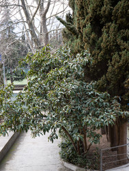 Similar image 21779153