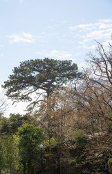 Similar image 21779384