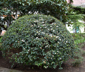 Similar image 21779385