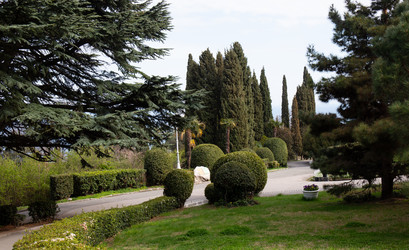 Similar image 21779386