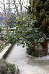 Similar image 21779387