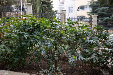 Similar image 21779388