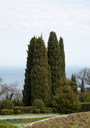 Similar image 21779389