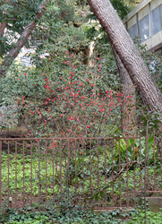 Similar image 21779391