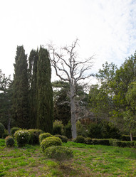 Similar image 21779392